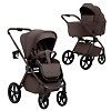 Sweet Baby Elegante Therma Colore - Шоколадный (Chocolate Brown SBL)