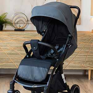 Компактная коляска Agex Mini LX