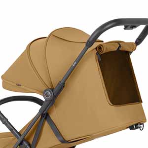 Прогулочная коляска Carrello Evo