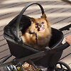 Переноска для питомца Anex Pet Carrycot