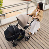 Переноска для питомца Anex Pet Carrycot