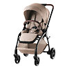 Britax Rio - Песочный (Teak)