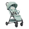 Chicco Taormina - Мятный (Sage)