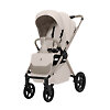 Sweet Baby Elegante D - Кремовый (Cream SBL)