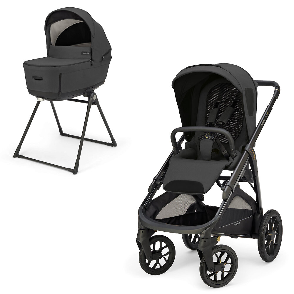 Inglesina Aptica XT New - Графитовый (Magnet Grey / 2025)