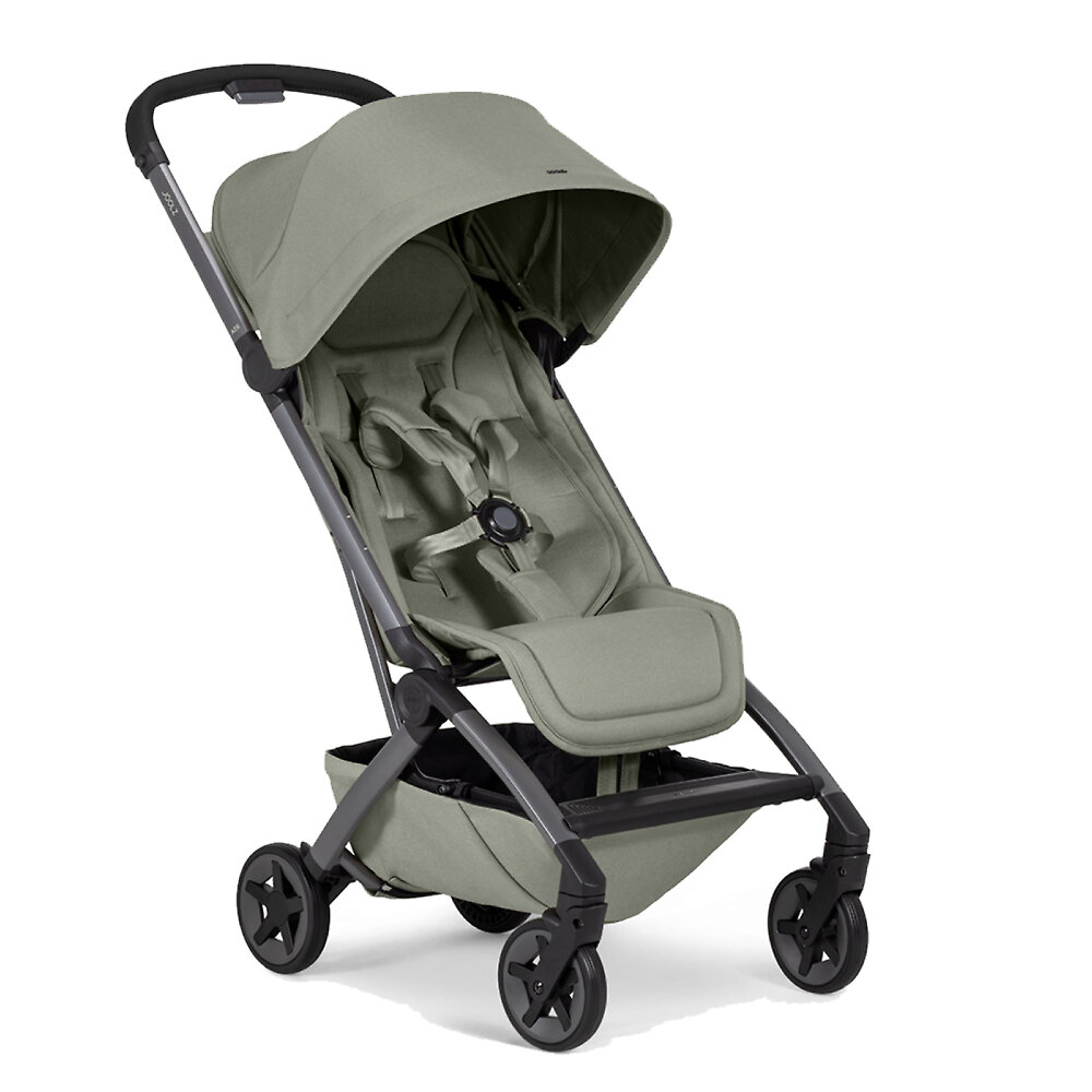 Joolz Aer2 - Серо-зелёный (Sage Green)