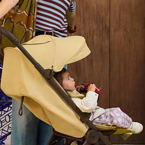 Прогулочная коляска Anex Air-Q