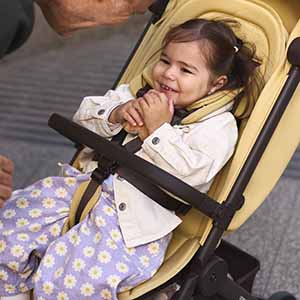 Прогулочная коляска Anex Air-Q