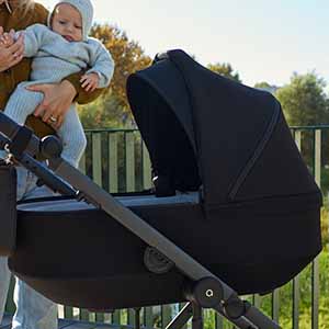 Детская коляска Anex Modu