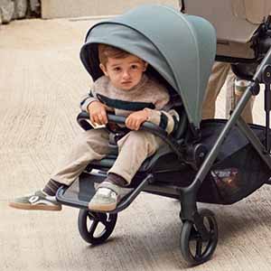 Детская коляска Anex Modu