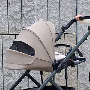 Детская коляска Anex Modu