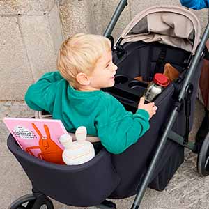 Прогулочная коляска Anex Modu Wagon