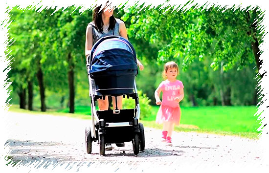 Модульная коляска Baby Design Lupo Comfort