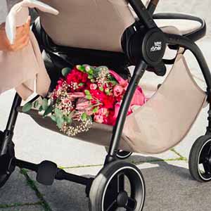 Детская коляска Britax Roemer Rio