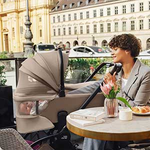 Люлька для колясок Britax Roemer Rio