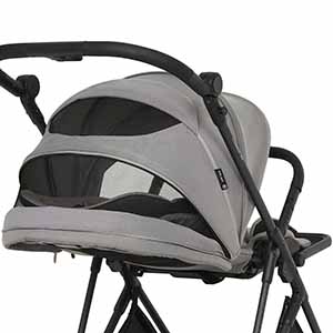 Pituso Carbon RX