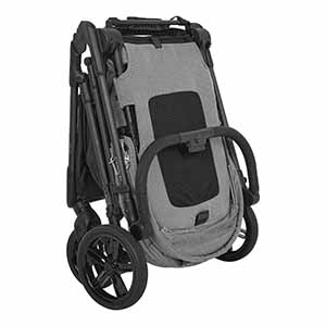 Pituso Carbon RX
